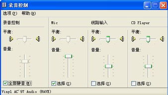電腦錄音控制灰色故障解析與軟硬件批發(fā)業(yè)務(wù)關(guān)聯(lián)